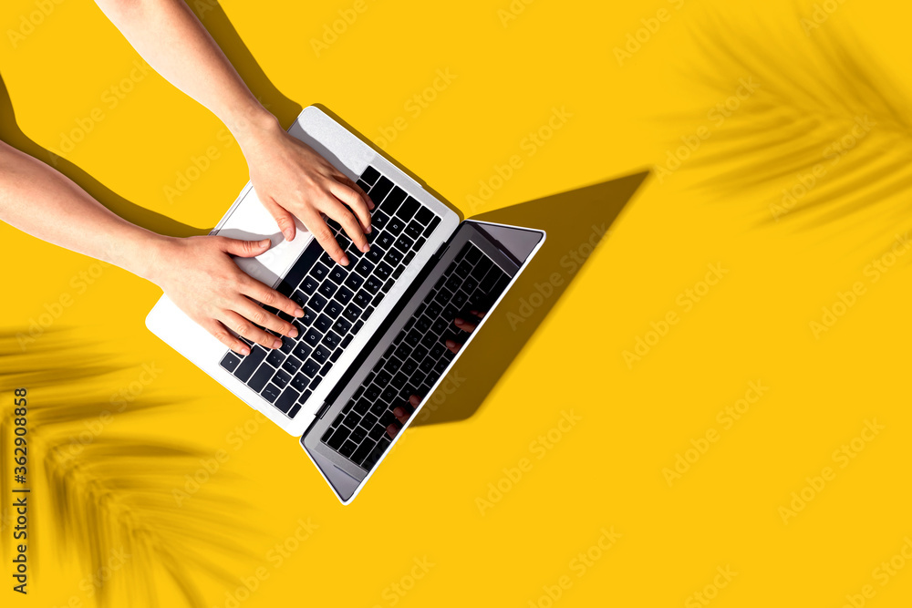 Person using a laptop computer with tropical plant shadow from above