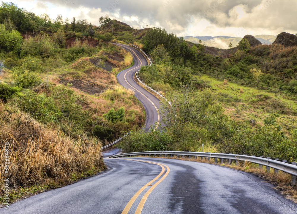 夏威夷考艾岛上瓦美阿峡谷公路的弯曲路段。