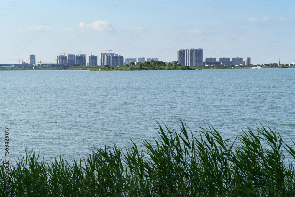 湖对面的城市。