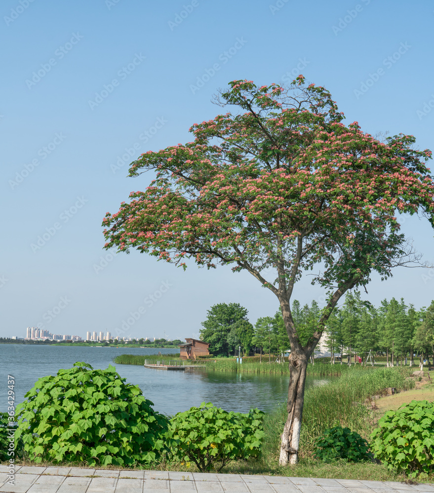 阳光明媚的日子里，湖边的小屋。