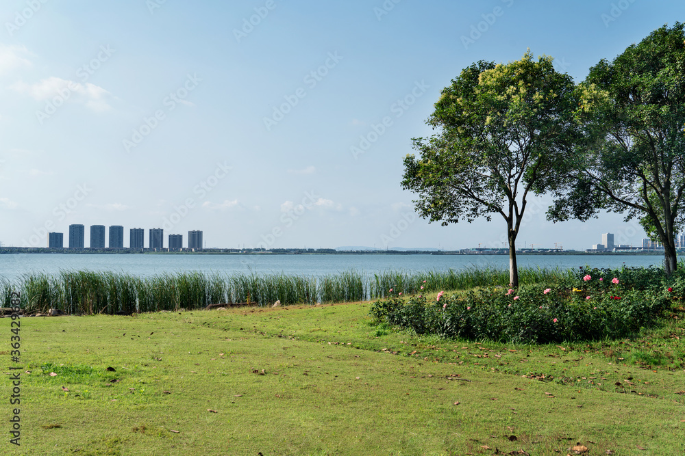 湖对面的城市。