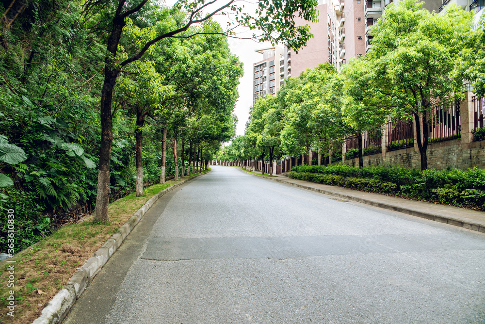 中国广州南沙黄山路森林公园盘山公路