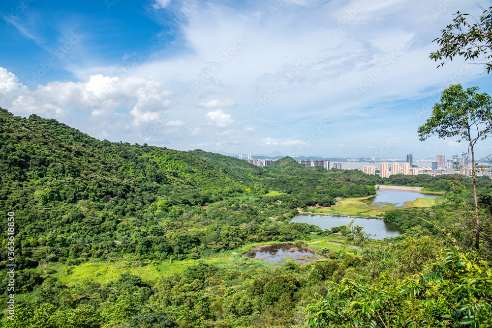 中国广州南沙保税区黄山麓森林公园风光