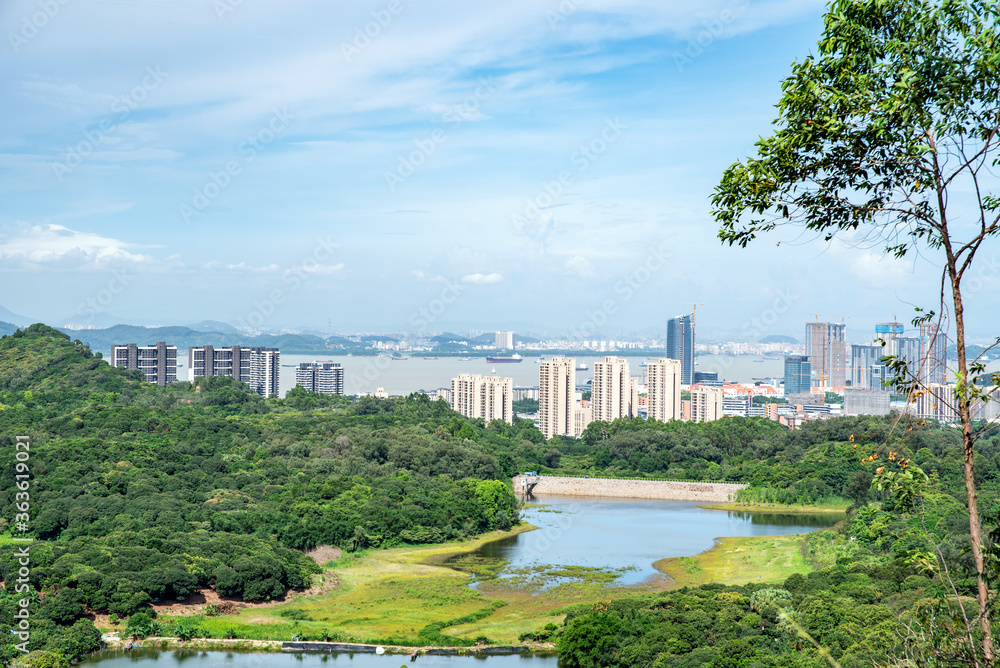 中国广州南沙保税区黄山麓森林公园风光