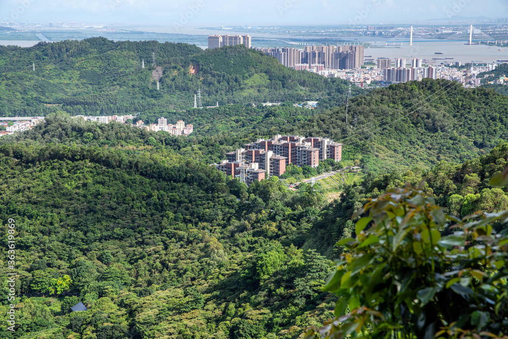 中国广州南沙黄山路森林公园周边山景财产