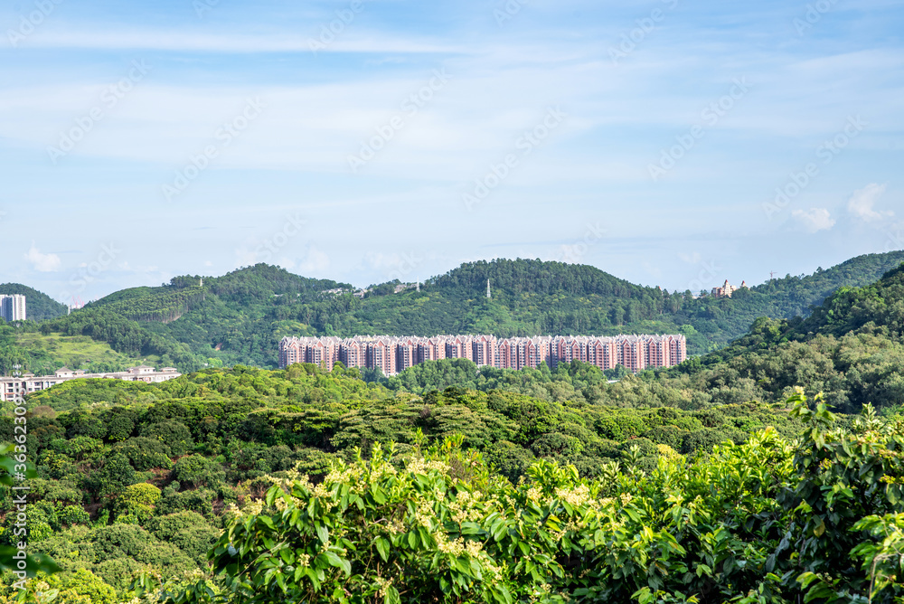 中国广州南沙区环境优美的山景房地产