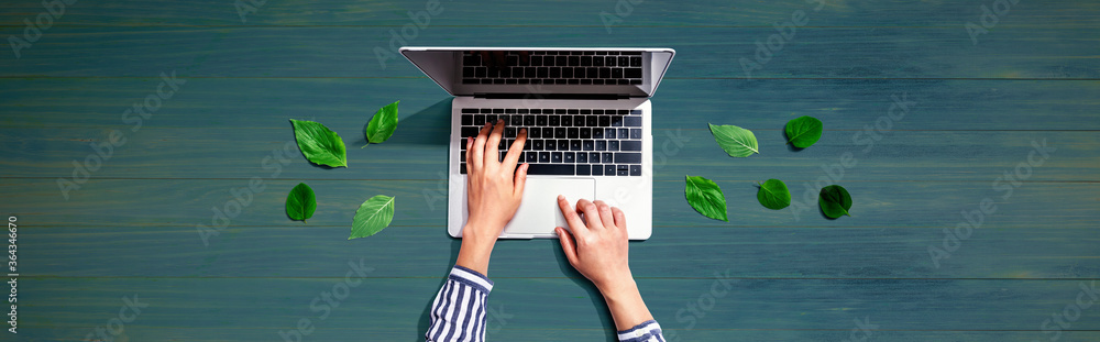 Person using a laptop computer with green leaves from above