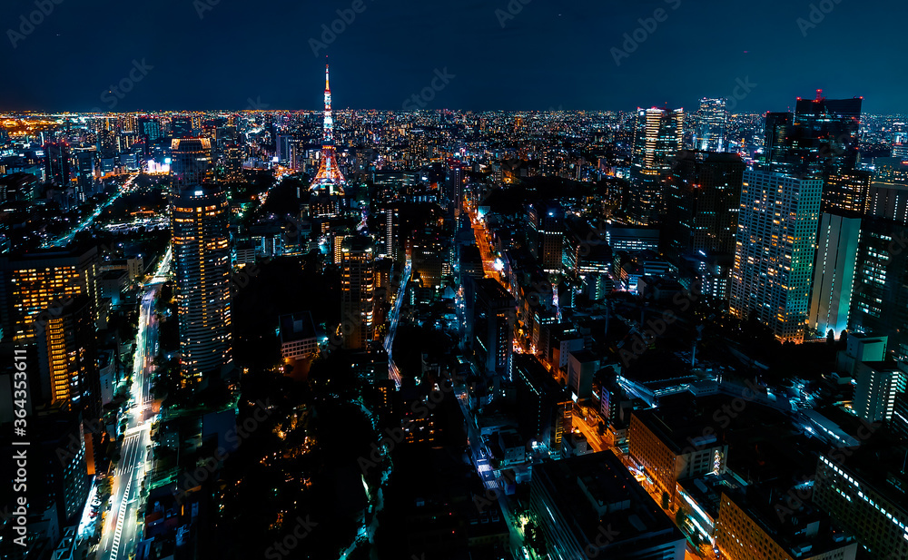 从高空俯瞰日本东京城市景观