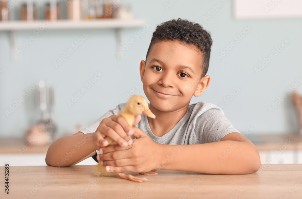 Little African-American boy with cute duckling at home