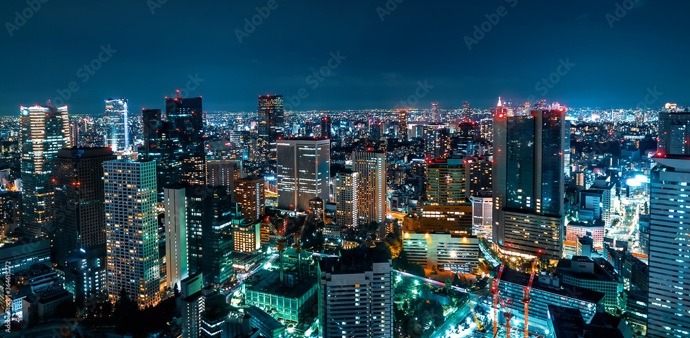 从高空俯瞰日本东京城市景观