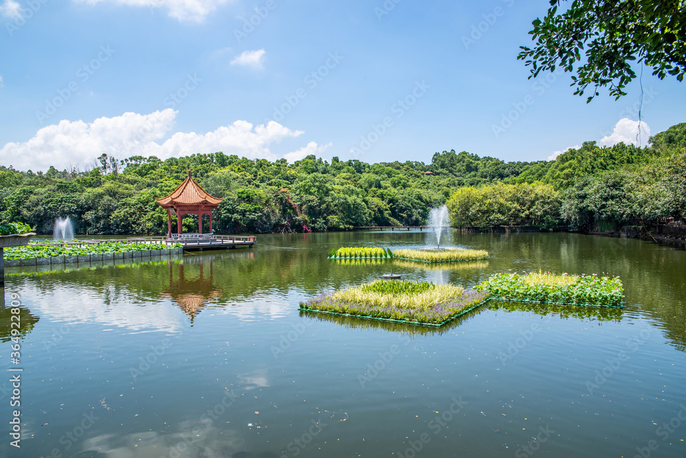 中国广州番禺莲花山公园荷花湖风光