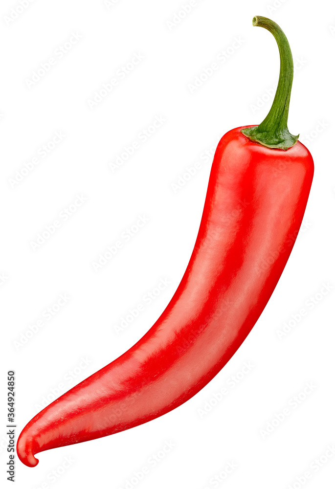 Chili isolated on white background. Chili pepper macro studio photo. Chili with clipping path