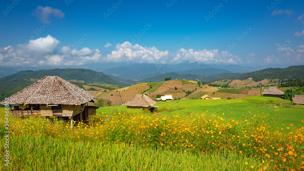 美丽的风景。泰国清迈Mae Chaem的Pa Pong Pieng村的稻田。