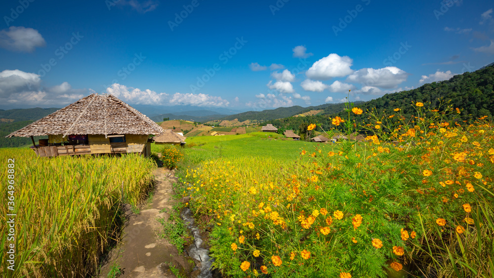 美丽的风景。泰国清迈Mae Chaem的Pa Pong Pieng村的稻田。