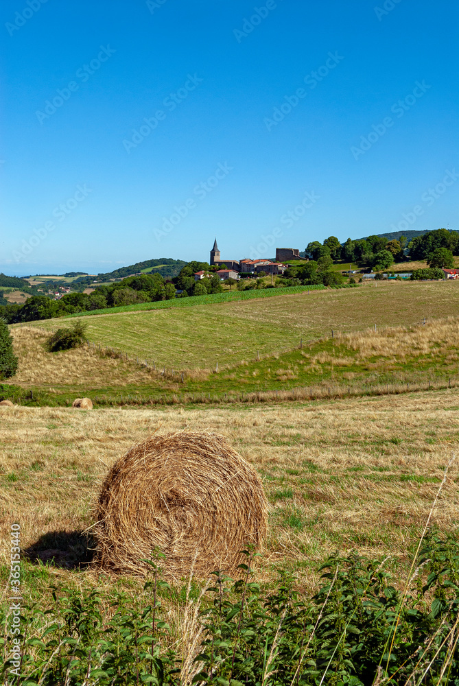 Paysage des Monts du Lyonnais en été autour de Saint-Martin-en-Haut dans le Rhône en France