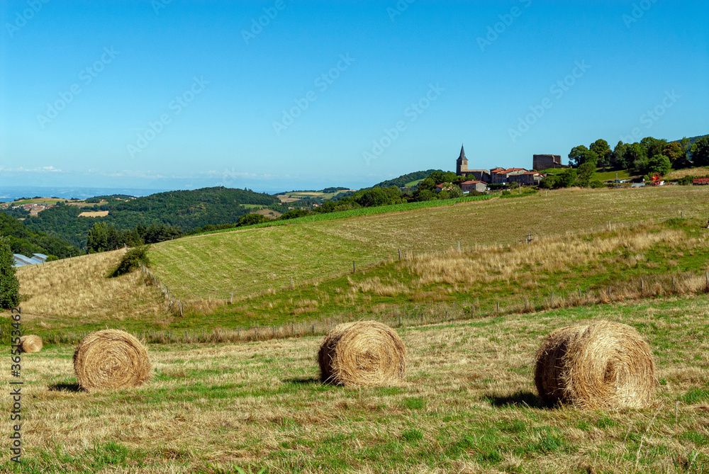 Paysage des Monts du Lyonnais en été autour de Saint-Martin-en-Haut dans le Rhône en France