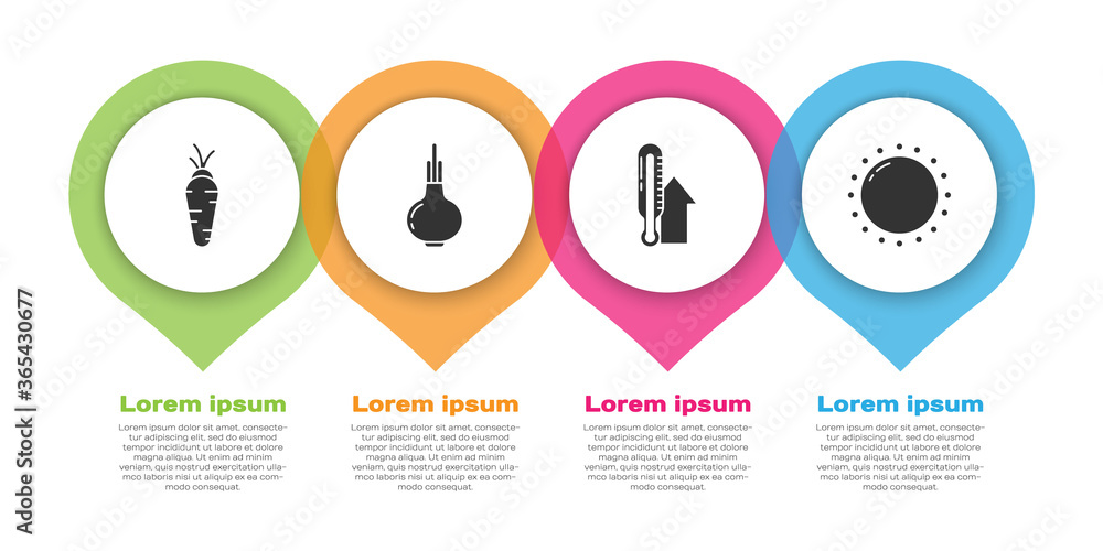 设置胡萝卜、洋葱、气象温度计和太阳。商业信息图模板。矢量。