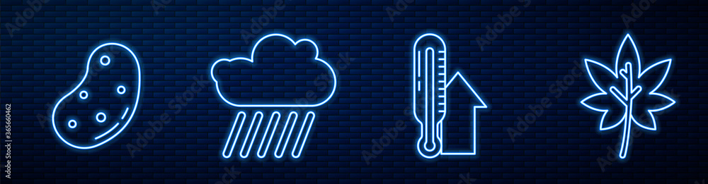 Set line Meteorology thermometer, Potato, Cloud with rain, Leaf or leaves and Leaf or leaves. Glowin