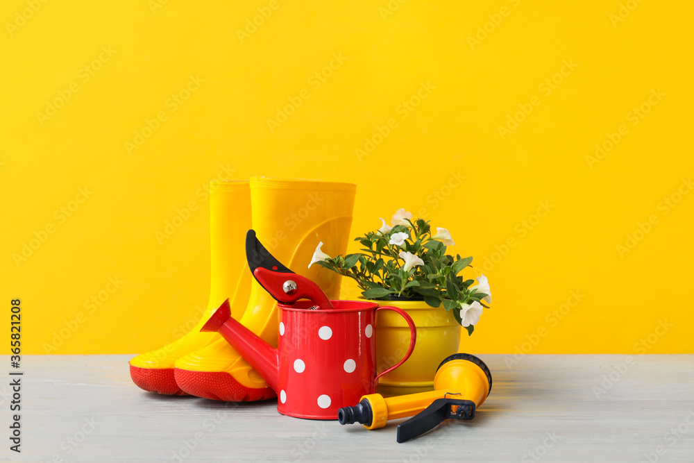 Gardening tools on table against color background