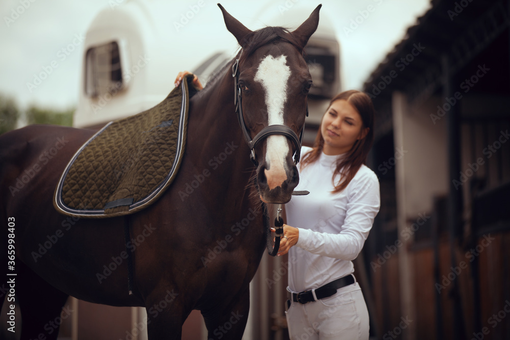 Equestrian sport - young girl rides on horse.