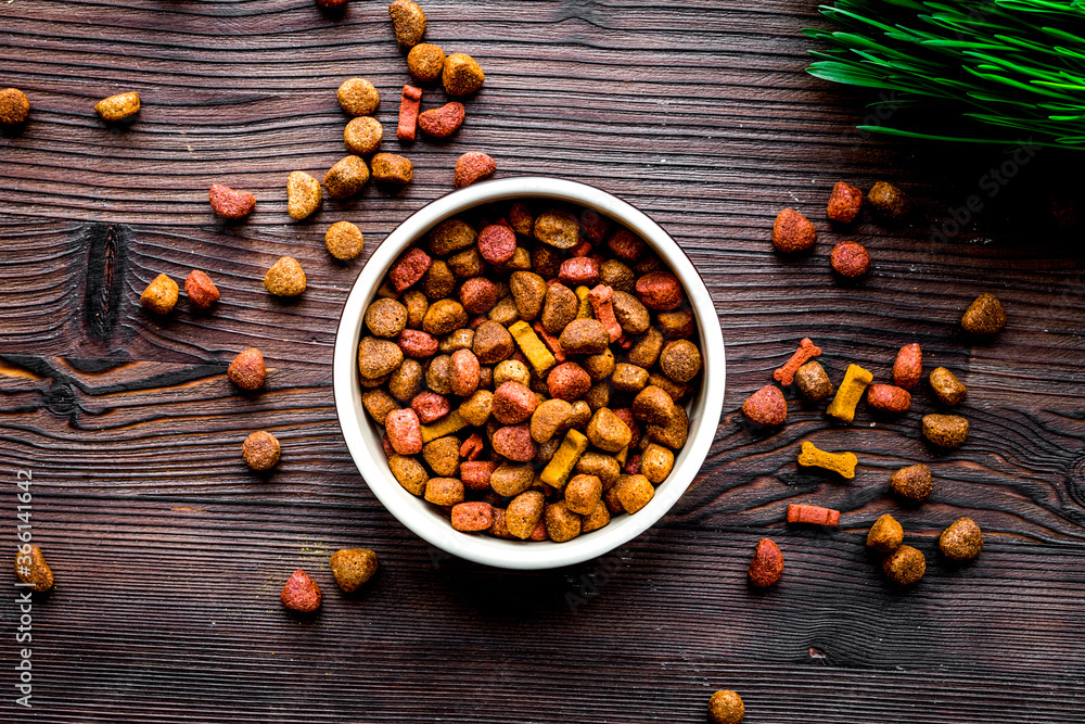 dry dog food in bowl on wooden background top view