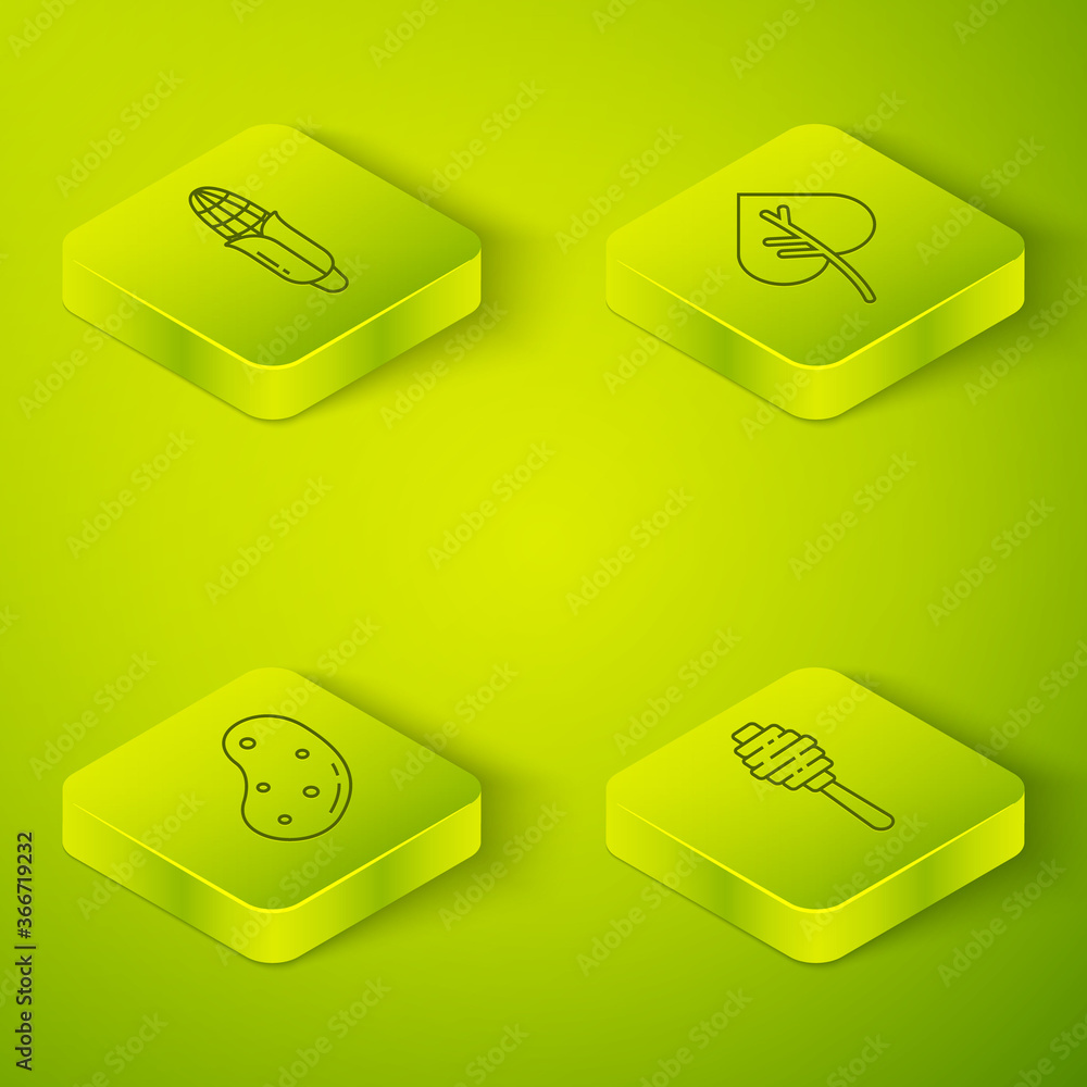 Set Isometric Leaf or leaves, Potato, Honey dipper stick and Corn icon. Vector.