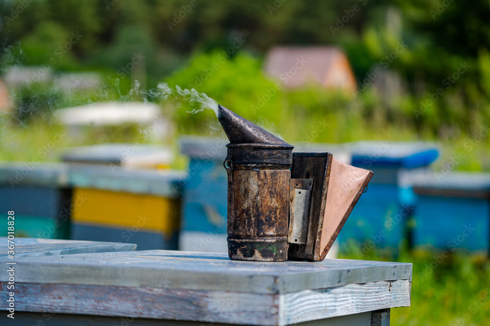 Closeup of bee smoker on hive. Hives in an apiary with bees flying to the landing boards. Apiculture