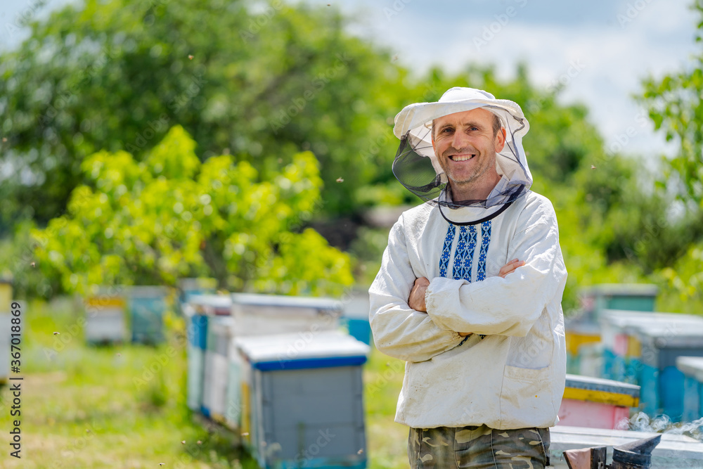 The beekeeper stands crosshands near apiary. Apiculture. Apiary.