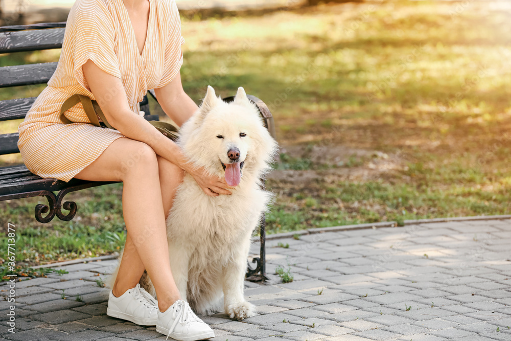 公园里年轻女子带着可爱的萨摩耶犬