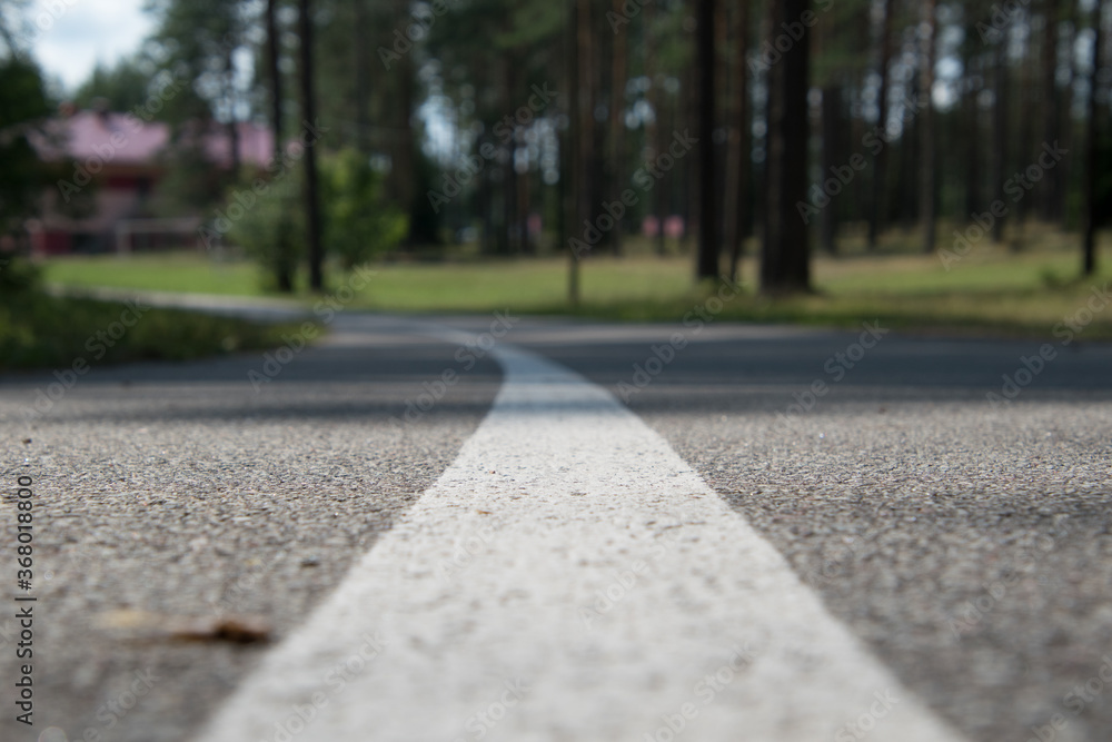 公园道路上的白线，焦点狭窄。