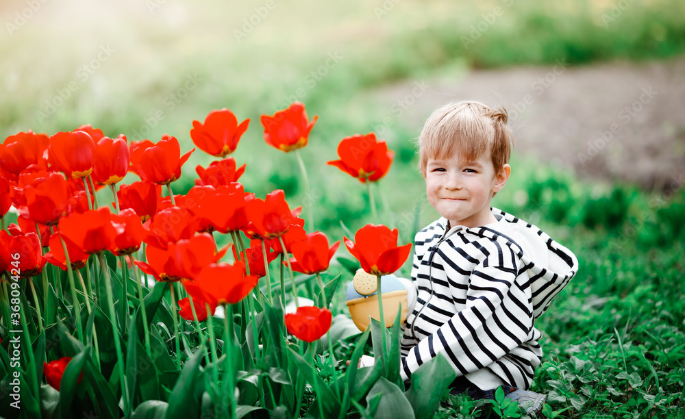 Little child walking near tulips on the flower bed in beautiful spring day