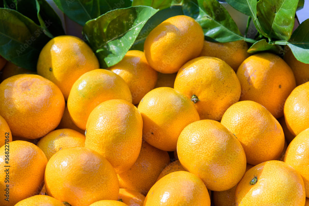 Tangerines, a treasure trove of vitamins in winter, are rich in vitamin C to prevent colds.