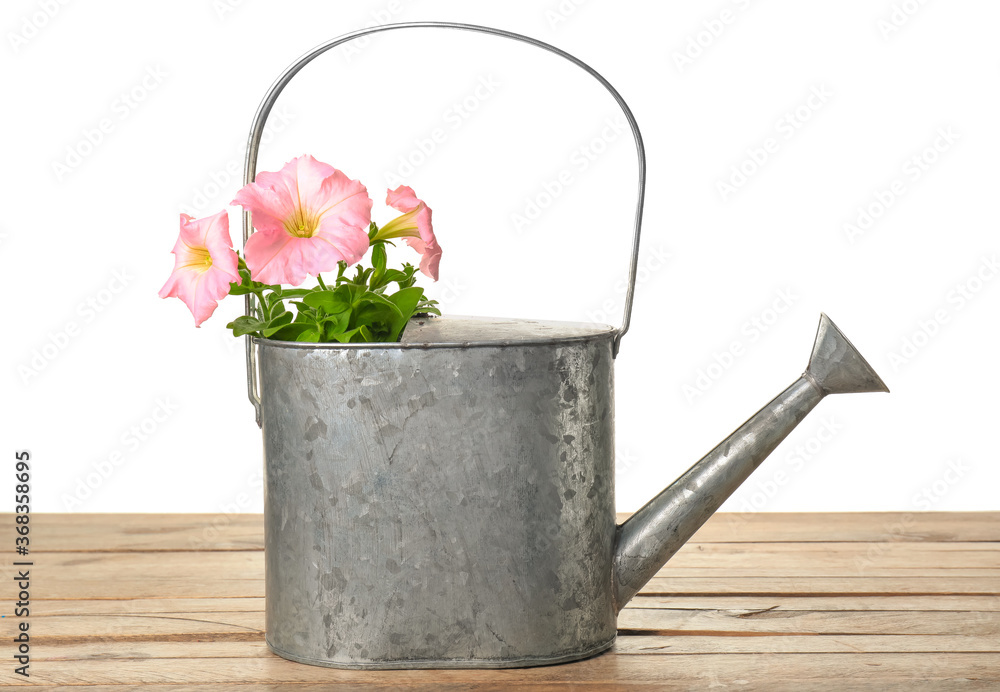 Watering can with flowers on table against white background