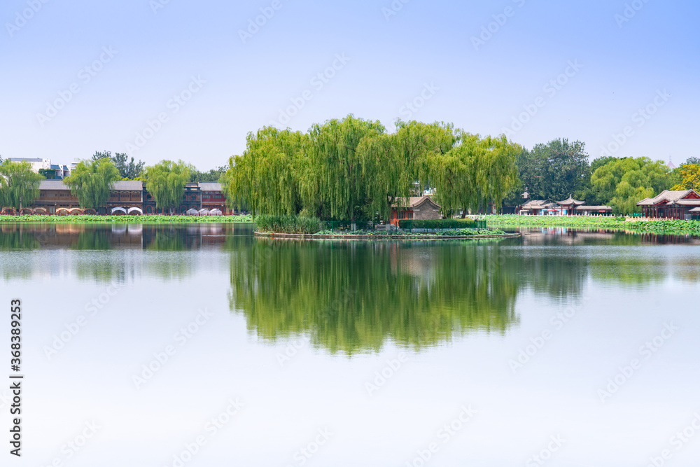 中国北京什刹海的夏天。美丽的什刹海湖岛和波光粼粼的湖水