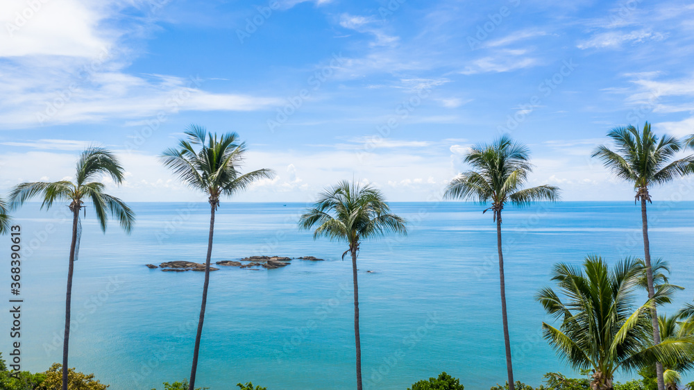 aerial drone shot of beautiful green coconut trees and crystal clear sea water in summer, palm tree 