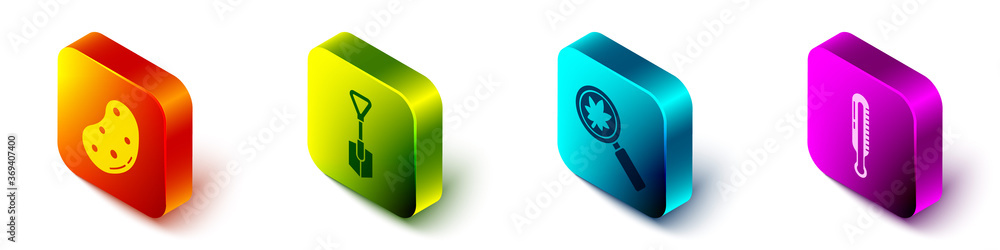 Set Isometric Potato, Shovel, Magnifying glass with leaf and Meteorology thermometer icon. Vector.