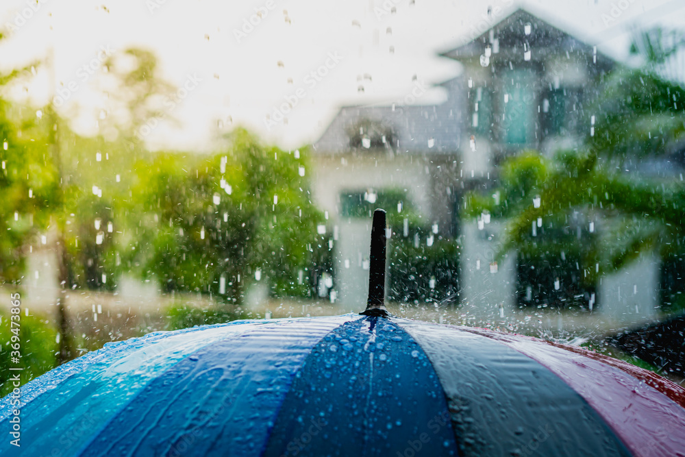 白天和屋外的雨滴落在雨伞上