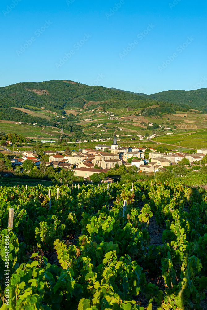 Le village de Lantignié dans le vignoble du Beaujolais dans le département du Rhône en France