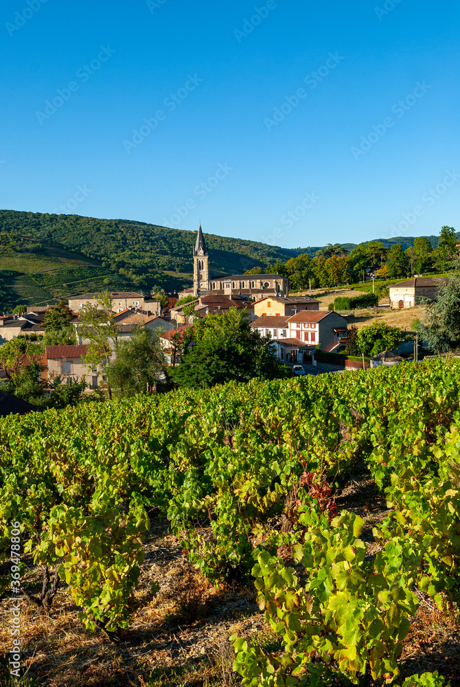 Le village de Quincié-en-Beaujolais dans le vignoble du Beaujolais dans le département du Rhône en F