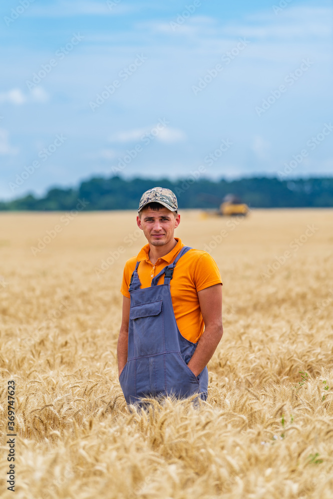 Amazing view with man who check natural organic harvest in the sunset light.