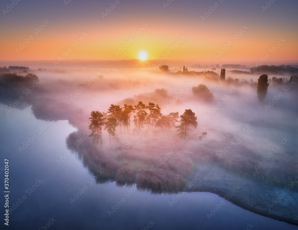 Aerial view of foggy trees in field at colorful sunrise in autumn. Colorful landscape with forest in