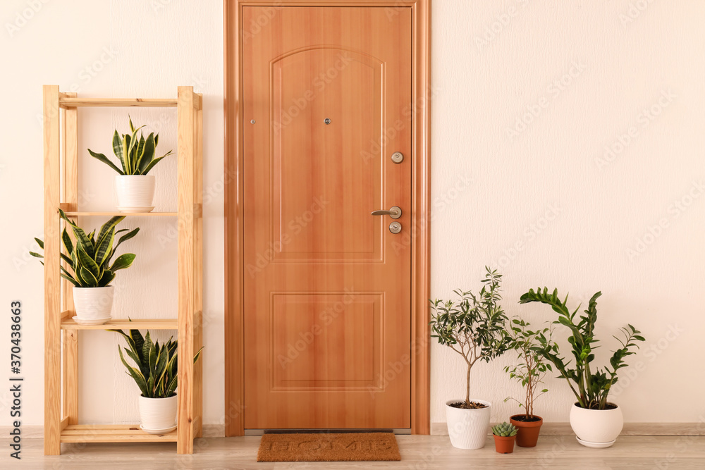 Interior of modern stylish hallway with door mat