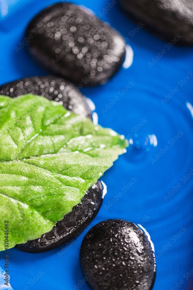 Wet Pebbles / Stones with Leaf