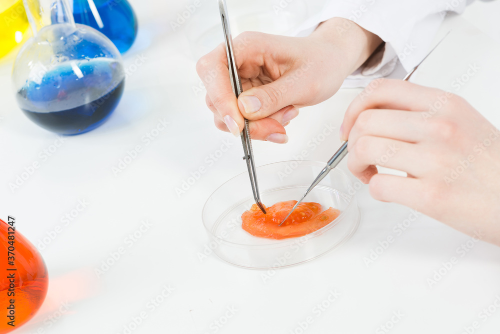 Microbiologist researching sample in petri dish.