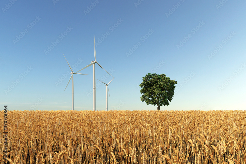 Kornfeld mit Windkraftanlagen und Baum