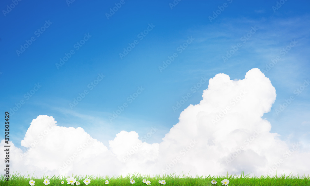 Summer natural background