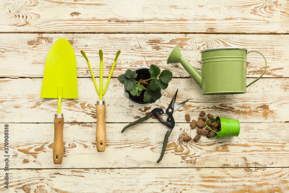 Gardening tools on wooden background