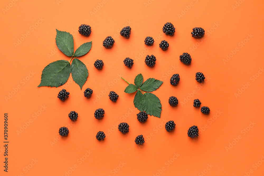 Ripe tasty blackberry on color background