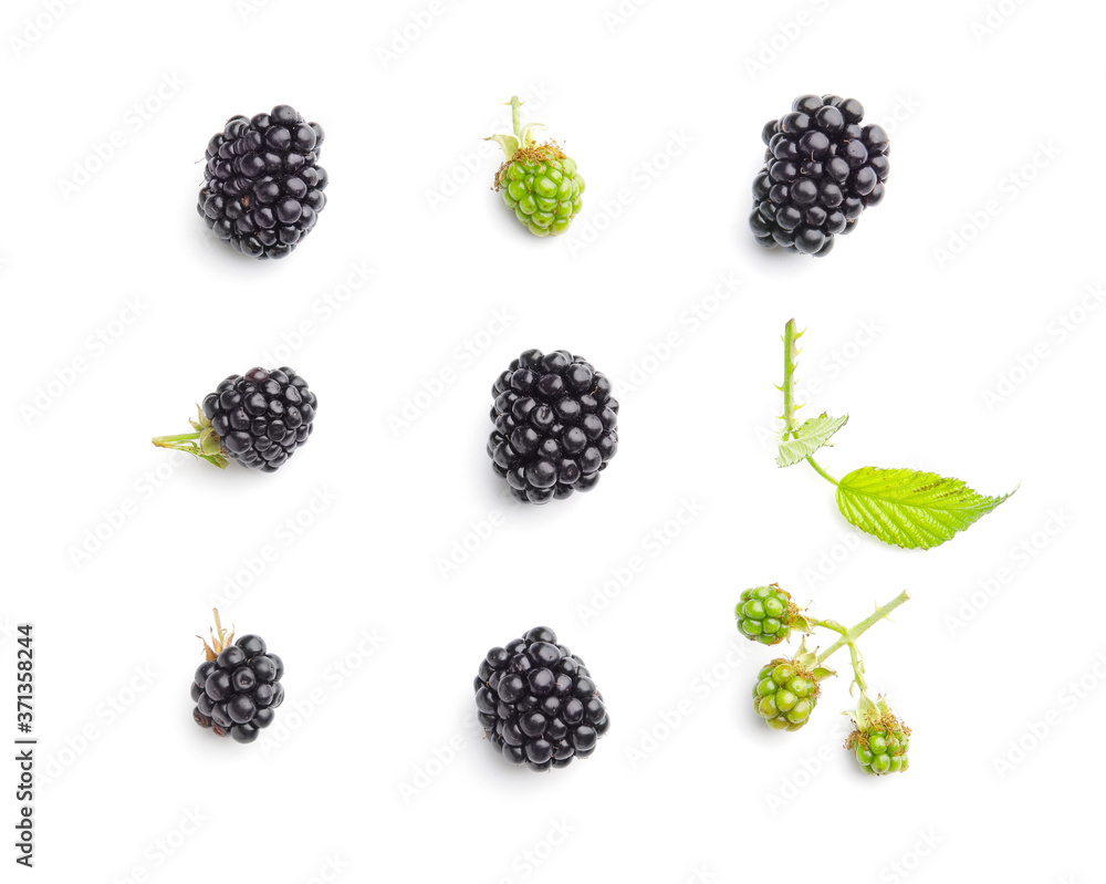 Tasty blackberry on white background