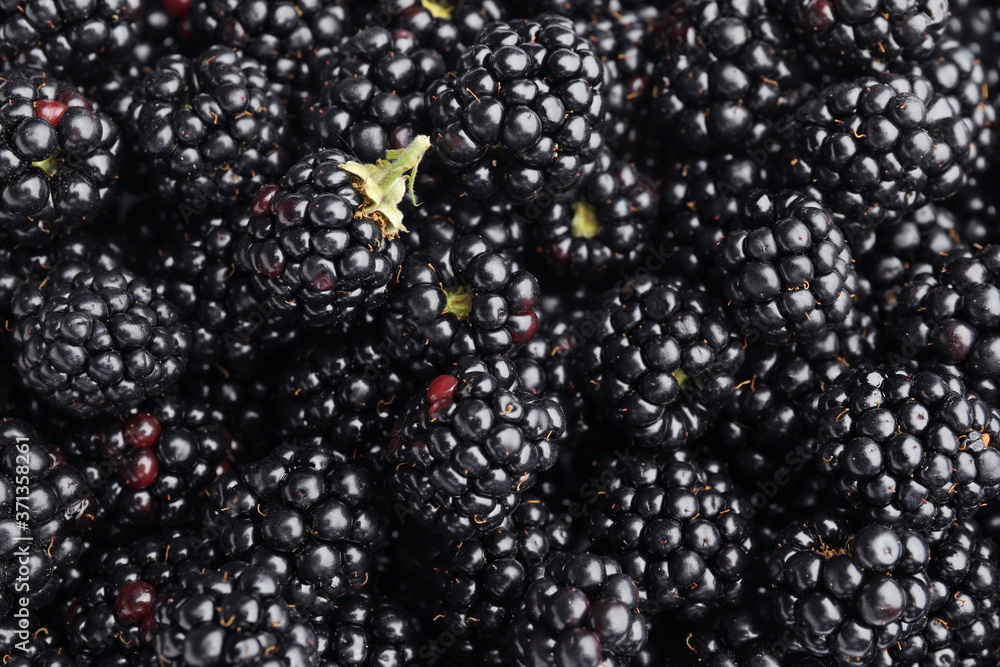 Ripe tasty blackberry as background